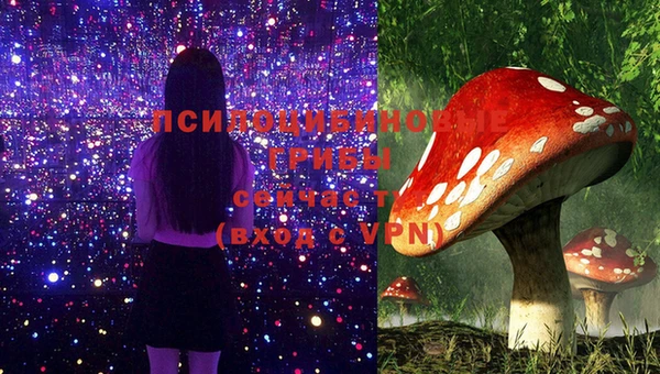 дурь Бородино