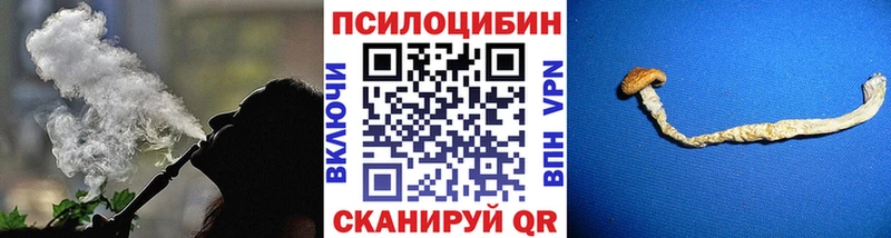 Галлюциногенные грибы Psilocybe  Буинск 